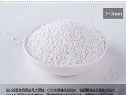 22頁(yè)-5：氧化鋁催化劑載體